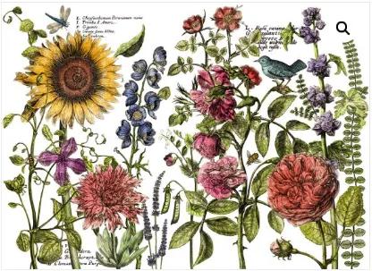 Botanists Journal 24x33  Decor Transfer (61 x 84 cm)