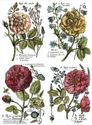 Ladies in Waiting 24x33  Decor Transfer (61 x 84 cm)