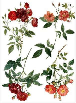 Redoute 4 24x33 Decor Transfer (61 x 84 cm)