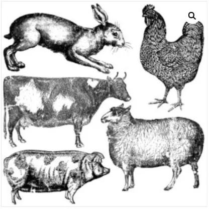 Farm Animals 12x12 Decor Stamp (30x30cm)