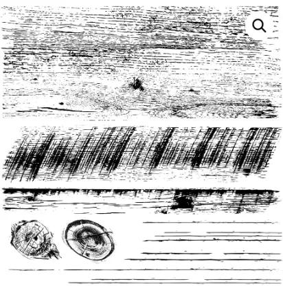 Barnwood Planks 12x12 Decor Stamps (30x30cm) 2 sayfa